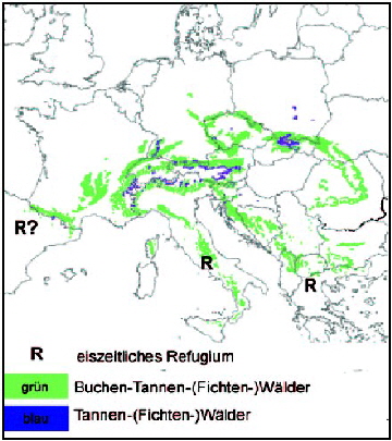 Natrliche Verbreitung tannenreicher Wlder in Europa